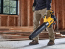 Аккумуляторная воздуходувка DeWALT DCMBL562P1