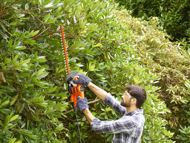 Кусторез BLACK&DECKER BEHT201